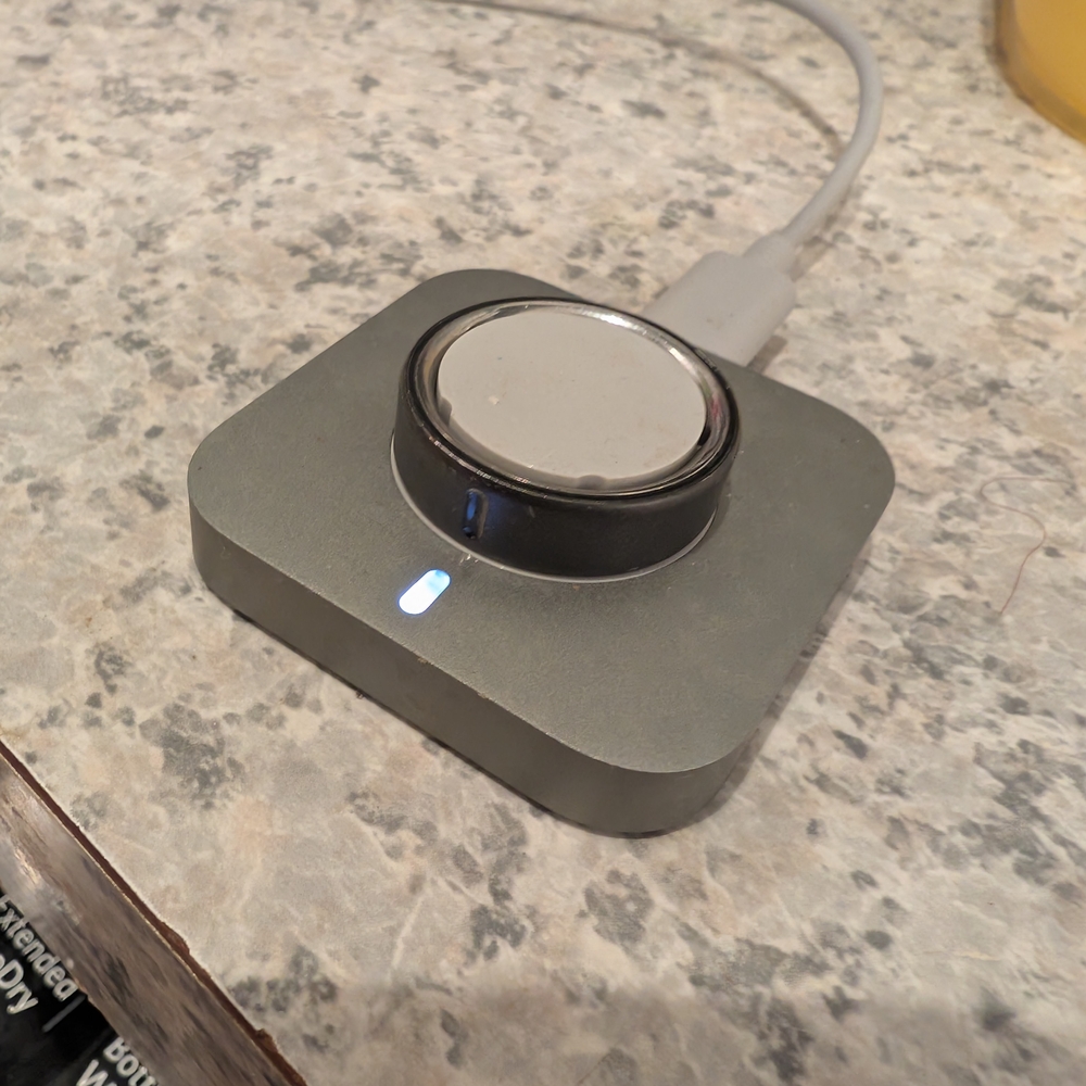 Oura Ring Stealth Size 13